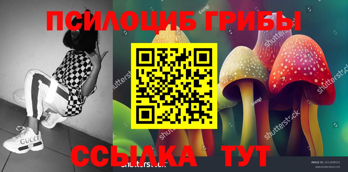 Галлюциногенные грибы мицелий  Галлюциногенные грибы прущие грибы  Вход с VPN  Гуково 